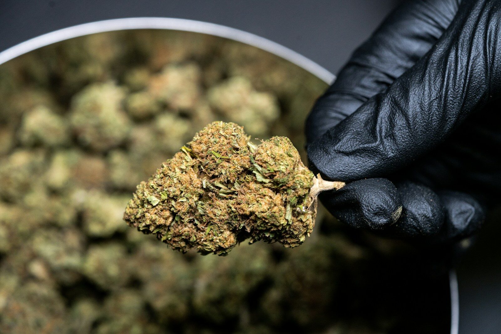 Fleurs de CBD pas cher